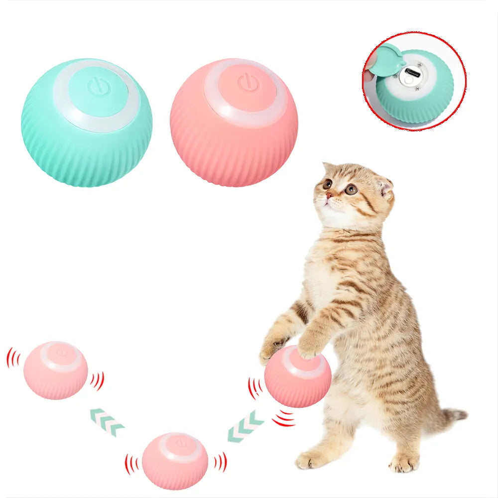 Bolinha Inteligênte interativa para PET